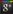 g logo